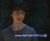 potterish_60minutos_TV_01178.jpg