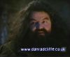 potterish_60minutos_TV_011_0.jpg