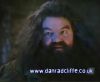 potterish_60minutos_TV_011_5.jpg
