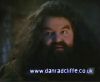 potterish_60minutos_TV_011_7.jpg