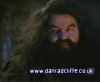 potterish_60minutos_TV_011_8~0.jpg
