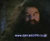 potterish_60minutos_TV_01202.jpg