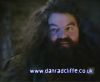 potterish_60minutos_TV_01207.jpg