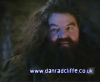 potterish_60minutos_TV_01208.jpg