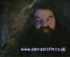 potterish_60minutos_TV_01210.jpg