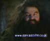 potterish_60minutos_TV_01214.jpg