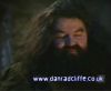 potterish_60minutos_TV_01222.jpg