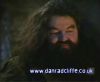 potterish_60minutos_TV_01225.jpg