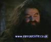 potterish_60minutos_TV_0122_.jpg