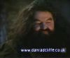 potterish_60minutos_TV_0122_~0.jpg