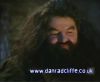 potterish_60minutos_TV_01241.jpg