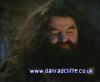 potterish_60minutos_TV_01242.jpg