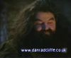 potterish_60minutos_TV_01247.jpg