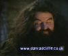 potterish_60minutos_TV_01256.jpg