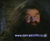 potterish_60minutos_TV_01261.jpg