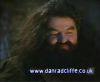 potterish_60minutos_TV_012_1.jpg