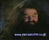 potterish_60minutos_TV_012_4.jpg