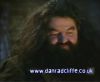 potterish_60minutos_TV_012_5.jpg