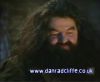 potterish_60minutos_TV_012_6.jpg