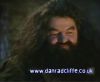 potterish_60minutos_TV_012_8.jpg