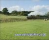 potterish_60minutos_TV_01_01.jpg