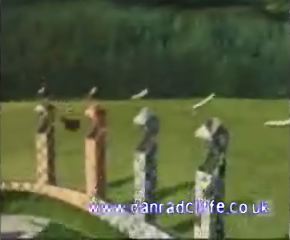 potterish_60minutos_TV_01768.jpg