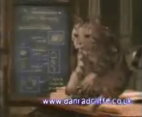 potterish_60minutos_TV_018__~0.jpg