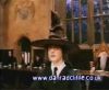 potterish_60minutos_TV_01542.jpg