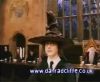 potterish_60minutos_TV_015_7.jpg