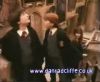 potterish_60minutos_TV_01648.jpg