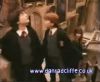 potterish_60minutos_TV_01650.jpg