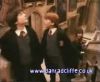 potterish_60minutos_TV_01654.jpg