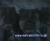potterish_60minutos_TV_01686.jpg