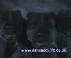 potterish_60minutos_TV_01688.jpg