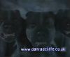potterish_60minutos_TV_016_0~0.jpg