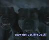 potterish_60minutos_TV_016_2~0.jpg