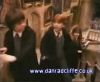 potterish_60minutos_TV_016_4.jpg