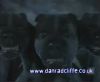 potterish_60minutos_TV_016_5~0.jpg