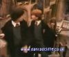 potterish_60minutos_TV_016__~0.jpg