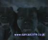 potterish_60minutos_TV_016__~1.jpg