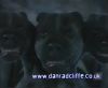 potterish_60minutos_TV_01700.jpg
