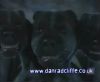 potterish_60minutos_TV_01702.jpg
