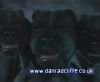 potterish_60minutos_TV_01705.jpg