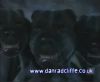 potterish_60minutos_TV_01707.jpg
