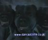 potterish_60minutos_TV_0170_.jpg