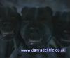 potterish_60minutos_TV_0170_~0.jpg