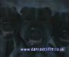 potterish_60minutos_TV_01710.jpg