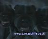 potterish_60minutos_TV_01712.jpg