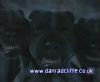 potterish_60minutos_TV_01714.jpg