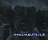 potterish_60minutos_TV_01716.jpg